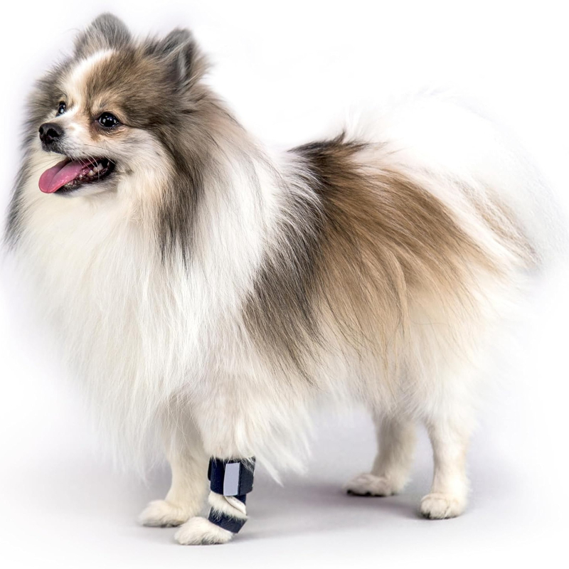 Carpal Hyperextension Dog Brac - Ankle Mobility Band review and price